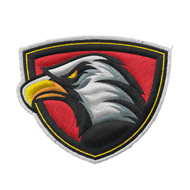 <b><font style='font-size:25px'>Команда Eagles</font></b><br> 