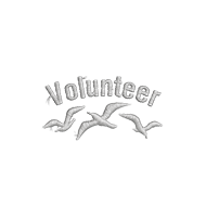 <b><font style='font-size:25px'>Волонтёр</font></b><br> 