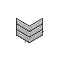 <b><font style='font-size:25px'>За выслугу лет</font></b><br> 