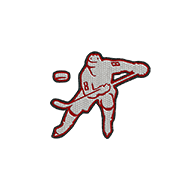 <b><font style='font-size:25px'>Хоккеист</font></b><br> 