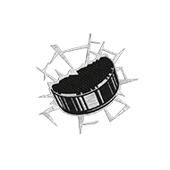 <b><font style='font-size:25px'>Шайба</font></b><br> 