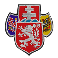 <b><font style='font-size:25px'>Чехословацкие легионы</font></b><br> 