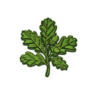 <b><font style='font-size:25px'>Символ Германии</font></b><br> 