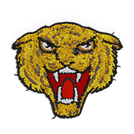 <b><font style='font-size:25px'>HMS Tiger</font></b><br> 