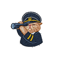 <b><font style='font-size:25px'>Кот-командир</font></b><br> 