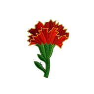 <b><font style='font-size:25px'>Красная гвоздика</font></b><br> 