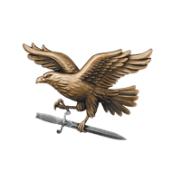 <b><font style='font-size:25px'>Адепт Мастерства</font></b><br> Достигните 100-го уровня мастерства на 1 корабле.<br>