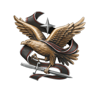 <b><font style='font-size:25px'>Эксперт мастерства</font></b><br> Достигните 100-го уровня мастерства на 2 кораблях.<br>